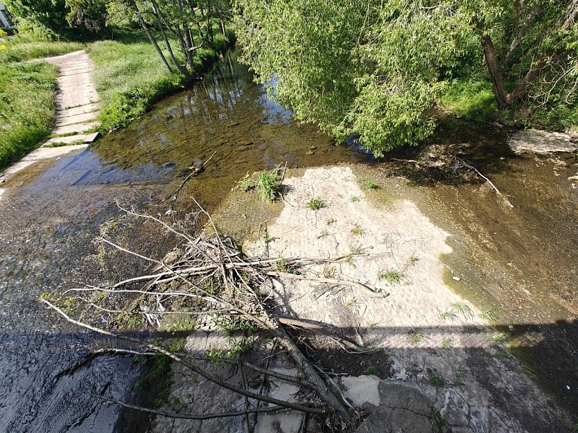 Kaum noch Durchfluss an der Zorge (Foto: Peter Blei)