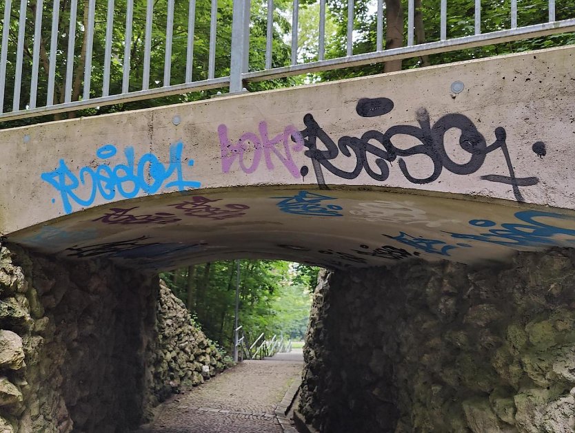 "Liebestunnel" im Gehege: neue Beschriftungen angebracht (Foto: G.M&uuml;ller)