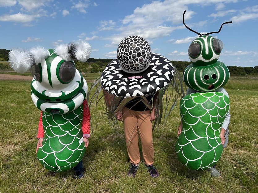 Kreativ gestaltete Insekten (Foto: Frankenh&auml;user festspiele)