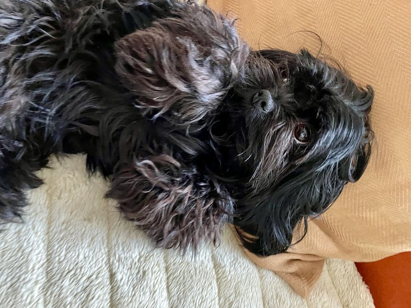 Wo ist Torvi? (Foto: K. K&ouml;ster)