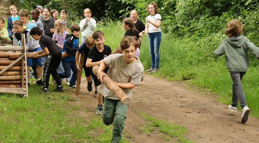 Im Park Hohenrode fanden heute die Waldjugendspiele 2025 statt (Foto: agl)