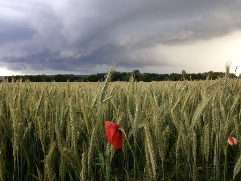 Wetterbild (Foto: agl)
