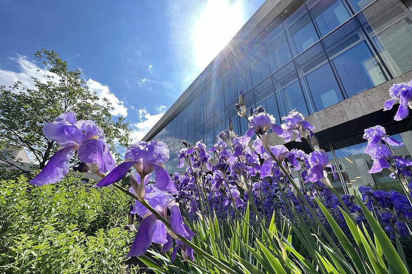 Stadtbibliothek Nordhausen (Foto: Stadtverwaltung Nordhausen)