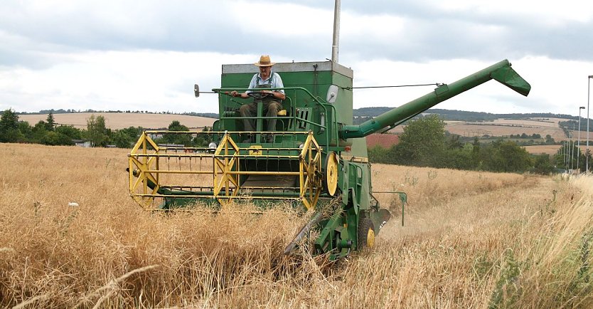 Ernte mit alter Technik in der Goldenen Aue (Foto: Ulrich Reinboth) Ernte mit alter Technik in der Goldenen Aue (Foto: Ulrich Reinboth)