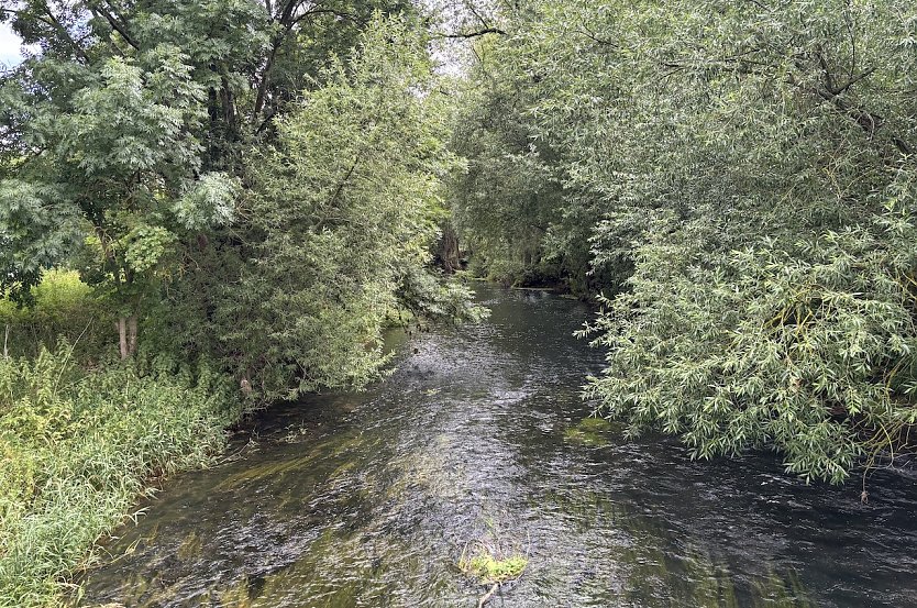 Im Unstrut-Tal (Foto: oas)