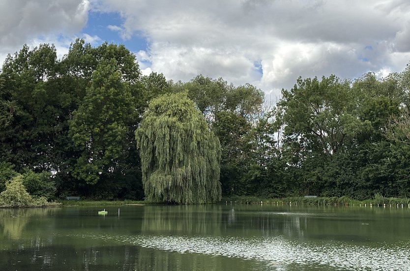 Das Wetter bleibt sehr beständig unbeständig (Foto: oas) Das Wetter bleibt sehr beständig unbeständig (Foto: oas)