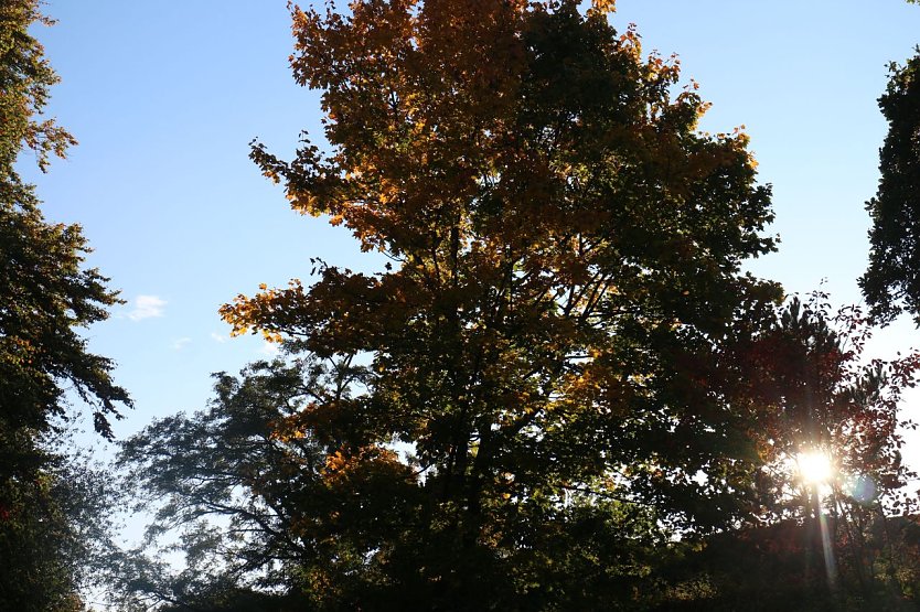 Wetterbild (Foto: agl)