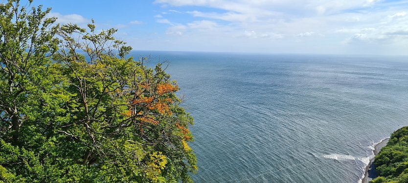 Nationalpark K&ouml;nigsstuhl (Foto: Sylvia Schieblich)