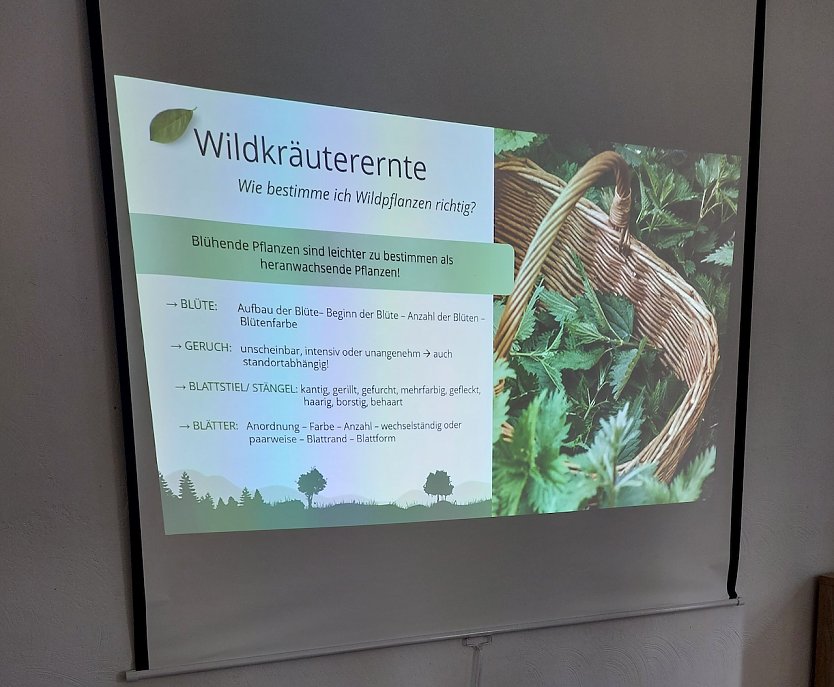 Seniorentreff und die Wildkr&auml;uter in Sondershausen-Jecha (Foto: Gudrun Dittrich)