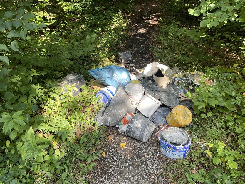 M&uuml;llkippe im M&uuml;hlh&auml;user Wald (Foto: LPI)
