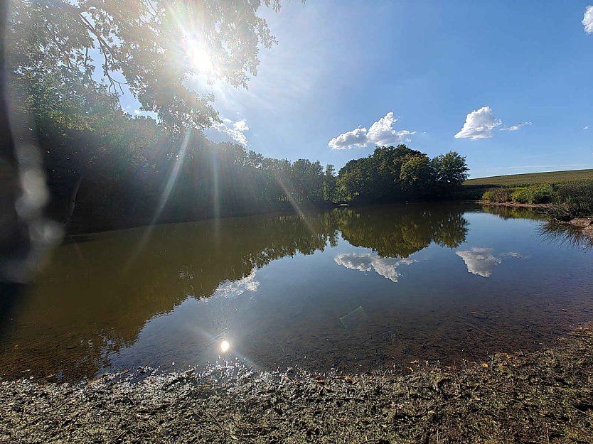 Peter Blei unterwegs am Wiesenteich (Foto: Peter Blei)