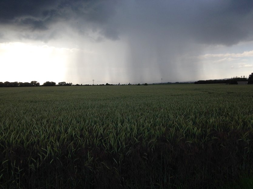 Das Wetterbild (Foto: nnz)