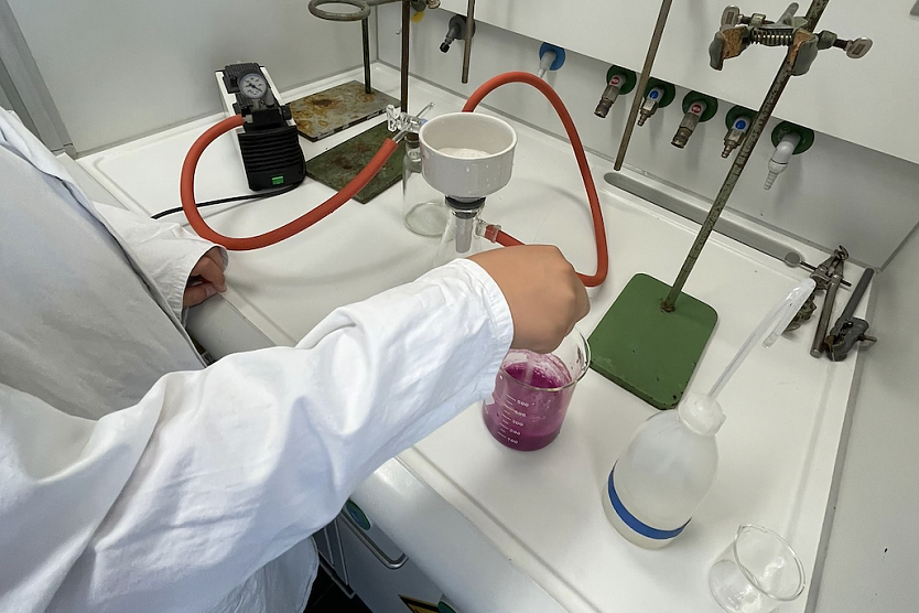 Wenn die Chemie stimmt - Anuk Schanz durfte ein Praktikum an der Uni Mainz absolvieren (Foto: Humboldt-Gymnasium)