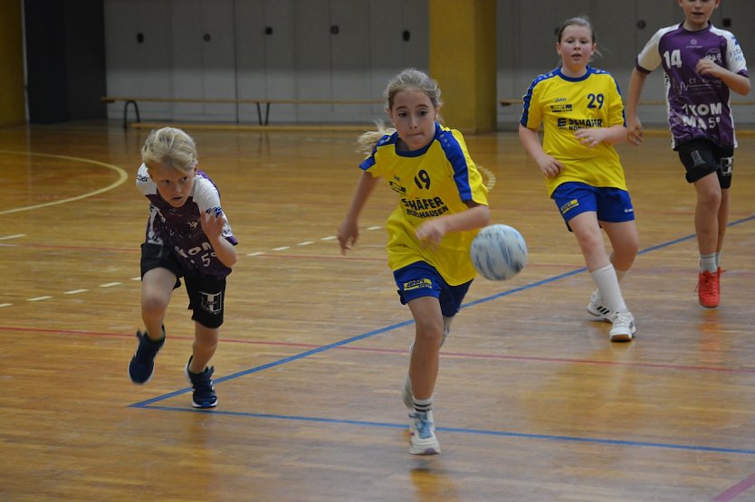 Ergebnisdienst Handball (Foto: NSV)