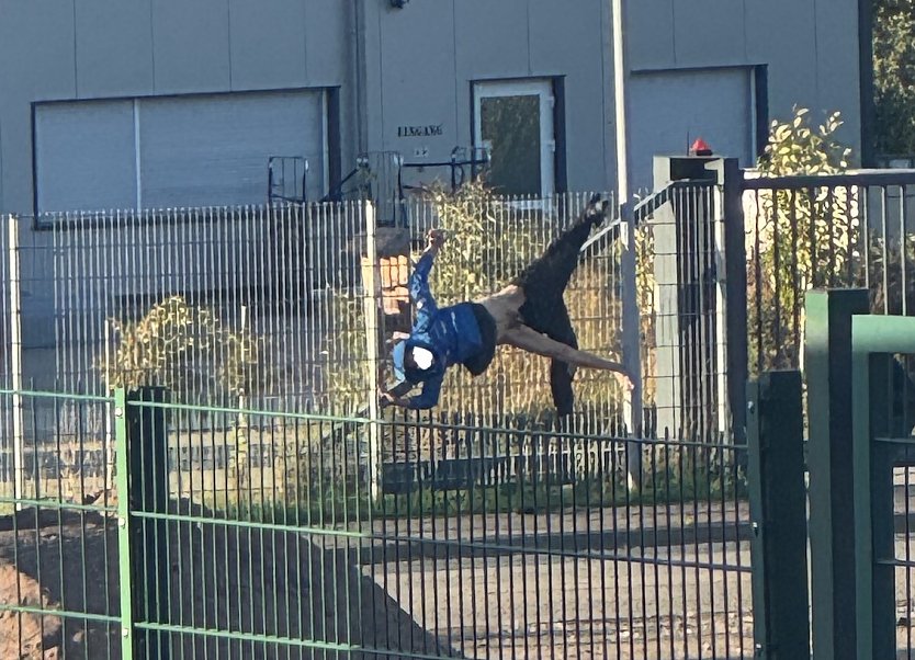 Verheddert im Geflecht des Daseins: Angetrunkene Person in Niedergebra (Foto: privat)