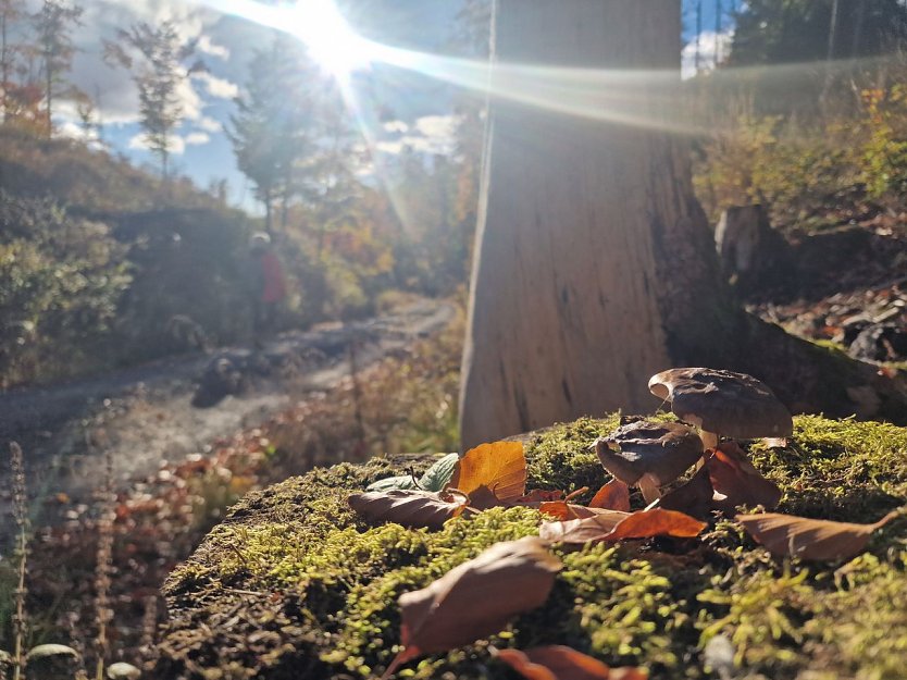 Wetterbild (Foto: agl)