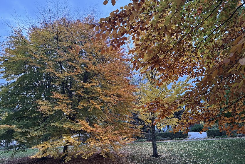 Ruhiges Herbstwetter am heutigen Feiertag (Foto: oas)