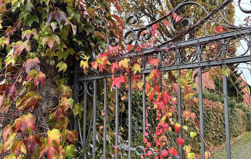 Windb&ouml;en in den Kammlagen erwartet (Foto: oas)