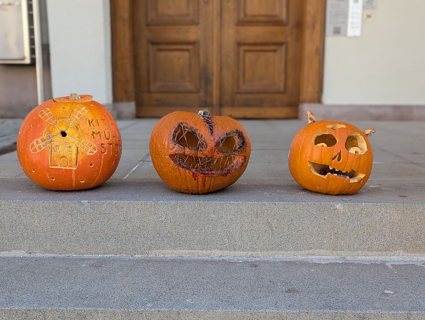 Das sind die Gewinnerk&uuml;rbisse f&uuml;r das Jahr 2025 (Foto: Janine Skara)