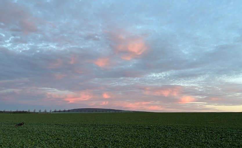 Weiterhin ruhiges Herbstwetter (Foto: oas)
