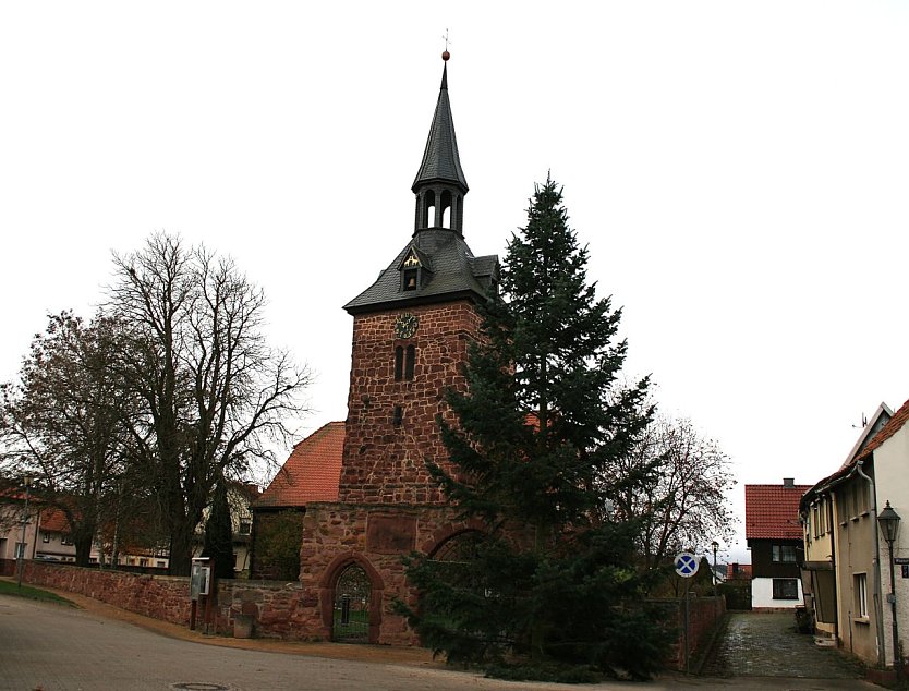 Der Kelbraer Weihnachtsbaum steht (Foto: Ulrich Reinboth)