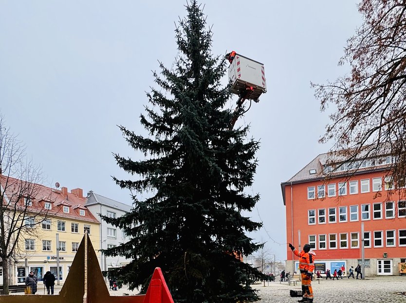 Schm&uuml;cken des Weihnachtsbaums am Rathausplatz (Foto: Stadtverwaltung Nordhausen)
