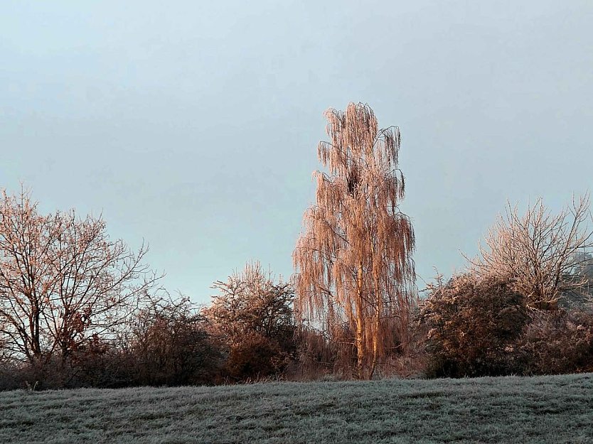 Weiter Frost und Gl&auml;tte (Foto: Peter Blei)