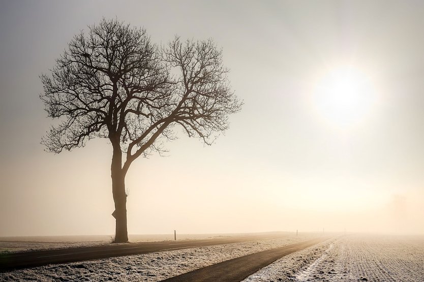 Wetterbild (Foto: fietzfotos/pixabay.com) Wetterbild (Foto: fietzfotos/pixabay.com)