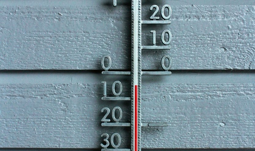 Thermometer (Foto: Elmira Ashirova auf Pixabay)