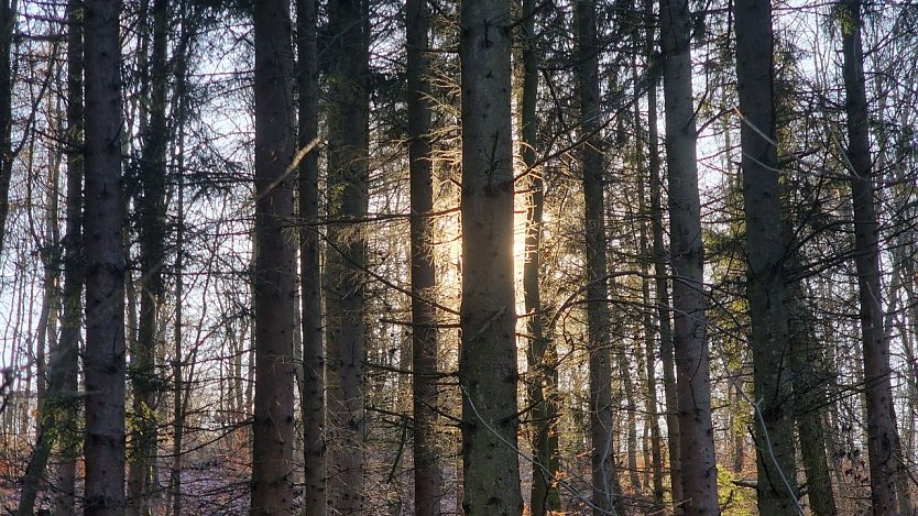 Symbolbild Wetter (Foto: agl)