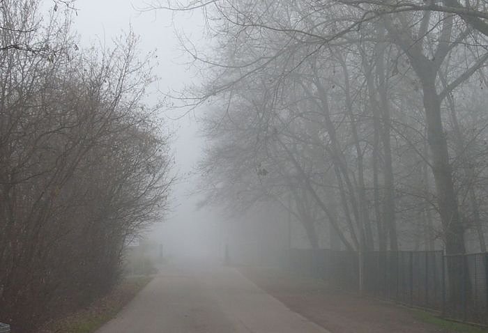 Wetterbild (Foto: nnz)