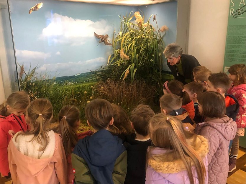 Besuch im Museum (Foto: Katrin Milde)