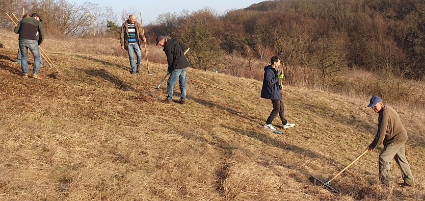 Statt Schafe und Ziegen Harken und Heugabeln: Aktive Artensch&uuml;tzer aus Stadt und Kreis Nordhausen bei der Arbeit im Naturschutzgebiet Alter Stolberg am vergangenen Donnerstag. (Foto: Bodo Schwarzberg)