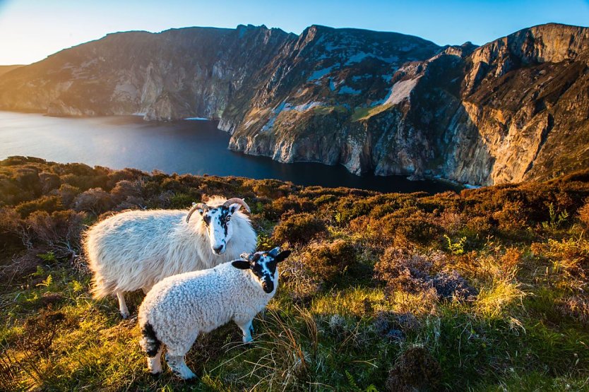 Die wilde irische Küste bereiste Robert Neu mit dem Fahrrad (Foto: Robert Neu) Die wilde irische Küste bereiste Robert Neu mit dem Fahrrad (Foto: Robert Neu)