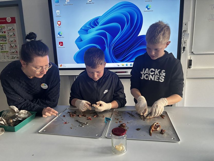 Unterricht zum Anfassen gab es beim Schnuppertag in der Gemeinschaftsschule in Artern.  (Foto: Lina Lippold)