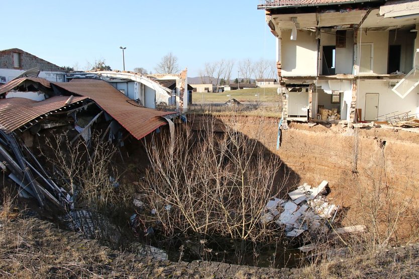 Die B&auml;ume im Erdfall haben den Rand der Grube schon erreicht (Foto: agl)