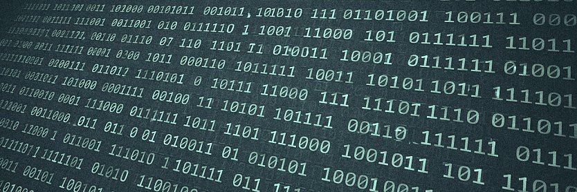 Website durch Bot-Invasion lahmgelegt (Foto: vgf)