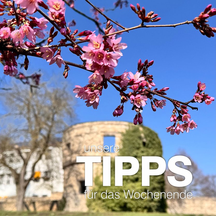 Tipps zum Wochenende (Foto: Stadtverwaltung Nordhausen)