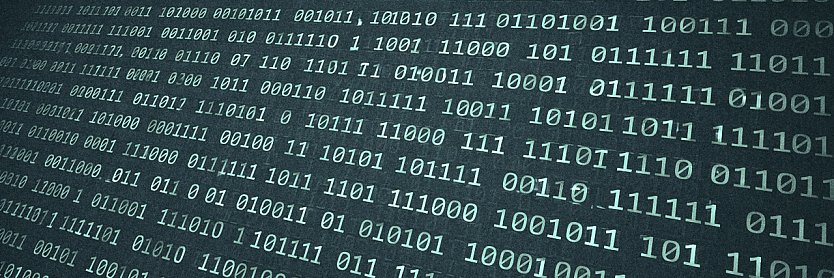 World Backup Day (Foto: vgf)