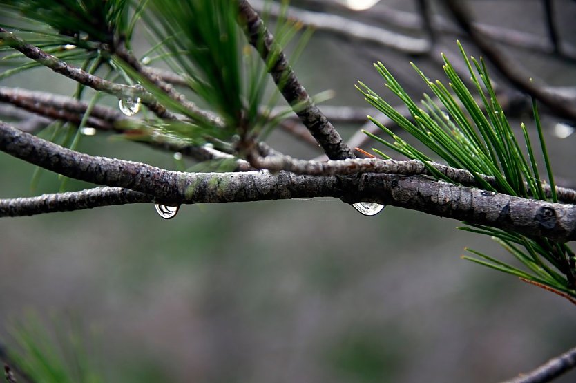 Wetterbild (Foto: Julian DC auf Pixabay)