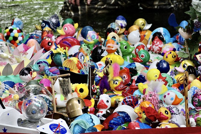 Entenrennen 2025 in Bad Langensalza (Archiv) (Foto: Eva Maria Wiegand)