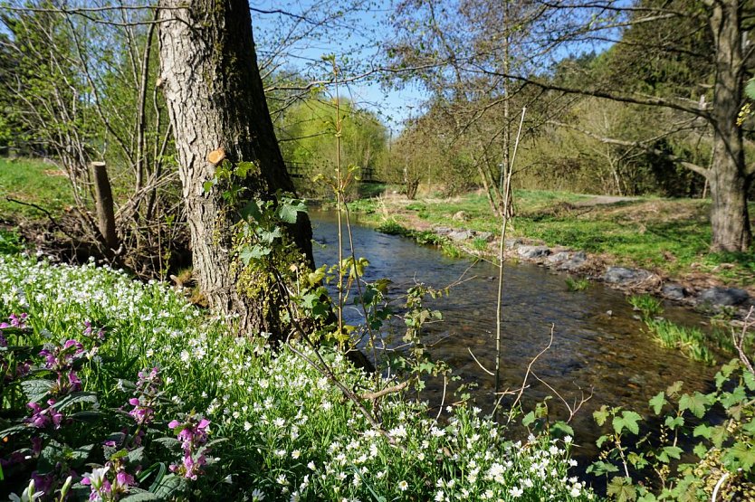Symbolbild Wetter (Foto: ssc) Symbolbild Wetter (Foto: ssc)
