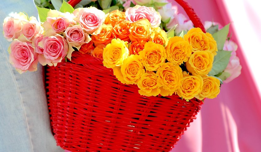 Rosen im Korb (Foto: emw) Rosen im Korb (Foto: emw)