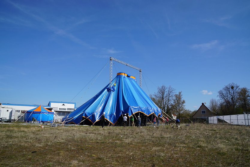 Um die zehn Helfer waren am Samstagvormittag im Einsatz. (Foto: ssc)