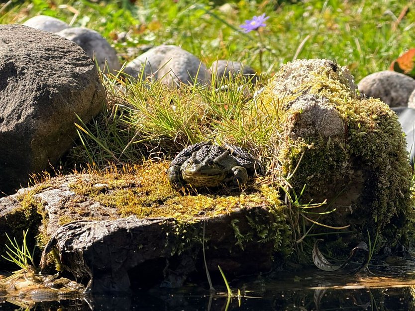 Wetterbild (Foto: sm)