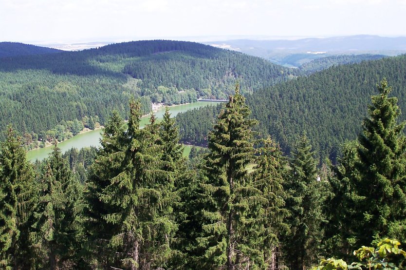 L&uuml;tscheblick (Foto: ThForst/Dr. Horst Spro&szlig;mann)