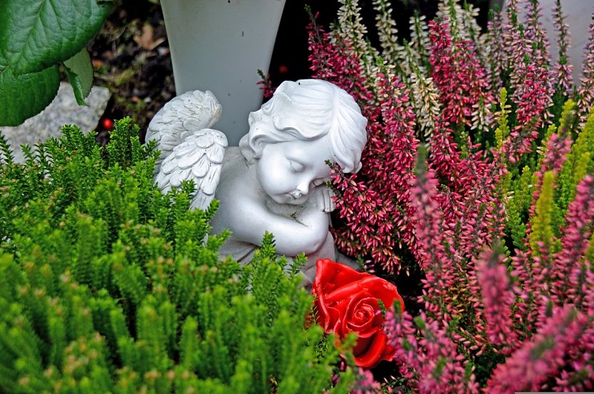 Symbolbild Friedhof (Foto: Pixabay-Katja_Kolumna)